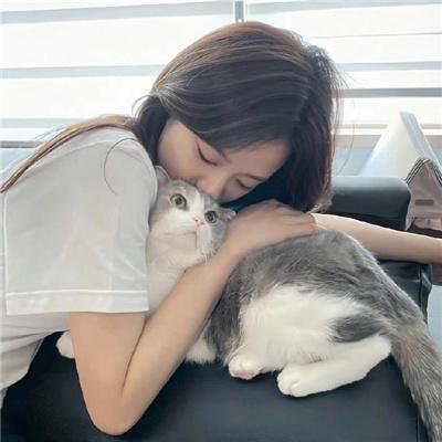流血的房子