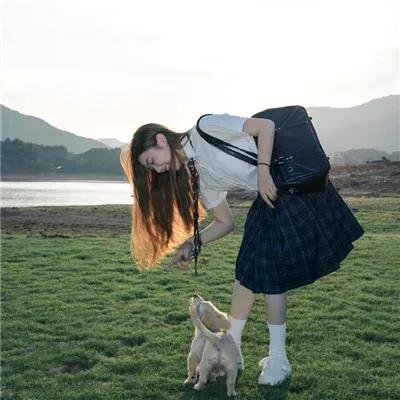 马铃薯